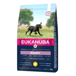 Eukanuba Puppy Large Breed Pour Chien 15kg