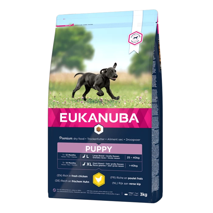Eukanuba Puppy Large Breed Pour Chien 15kg
