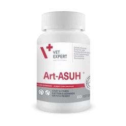 Art-ASUH S - 60 Capsules