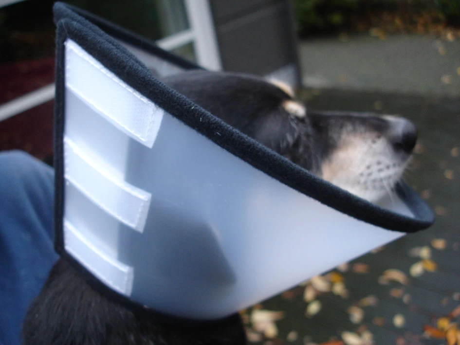 Flamingo Carcan Capo 31,5cm – Image 6