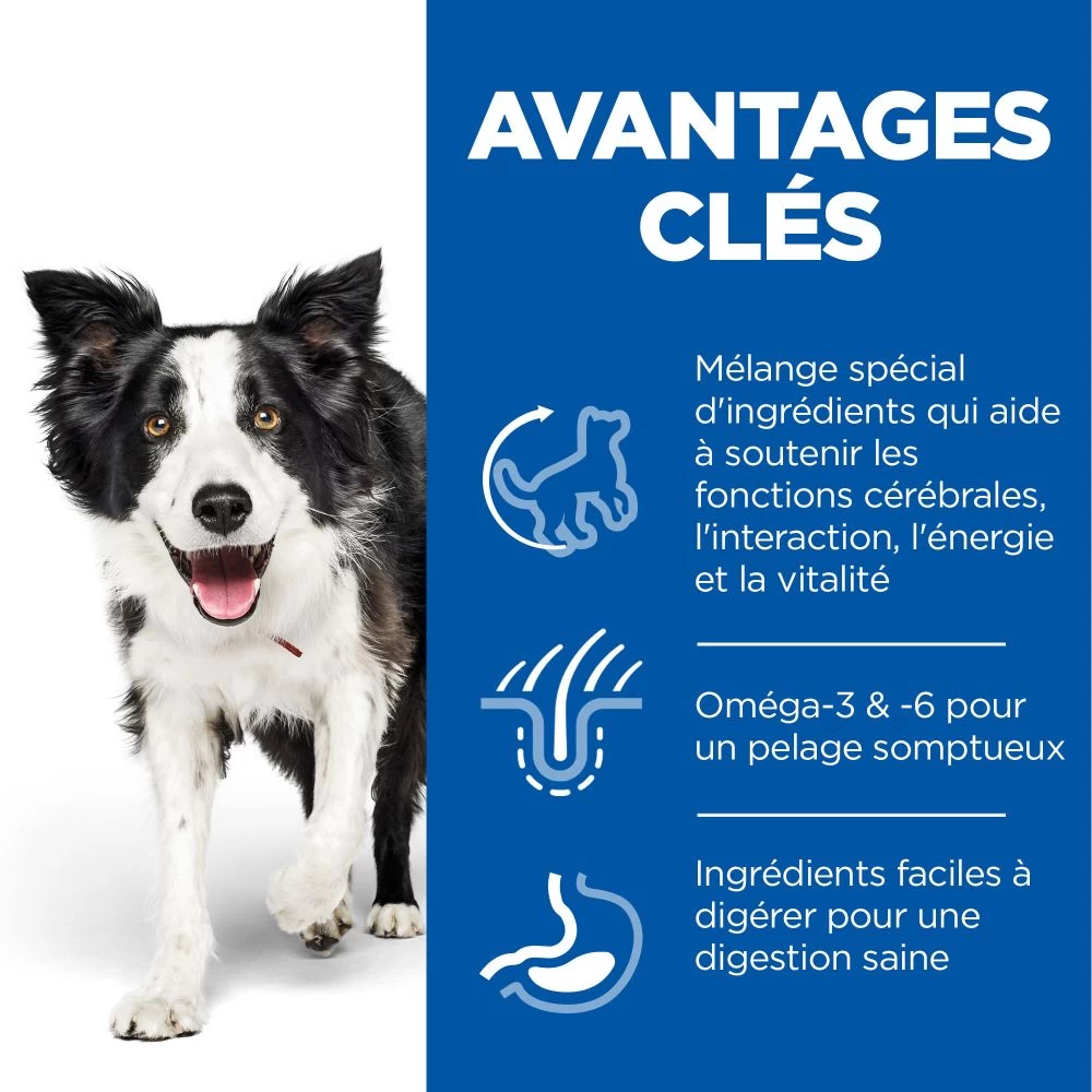 Hill's Science Plan Senior Vitality Croquettes Pour Chien âgé Au Poulet 14Kg – Image 3