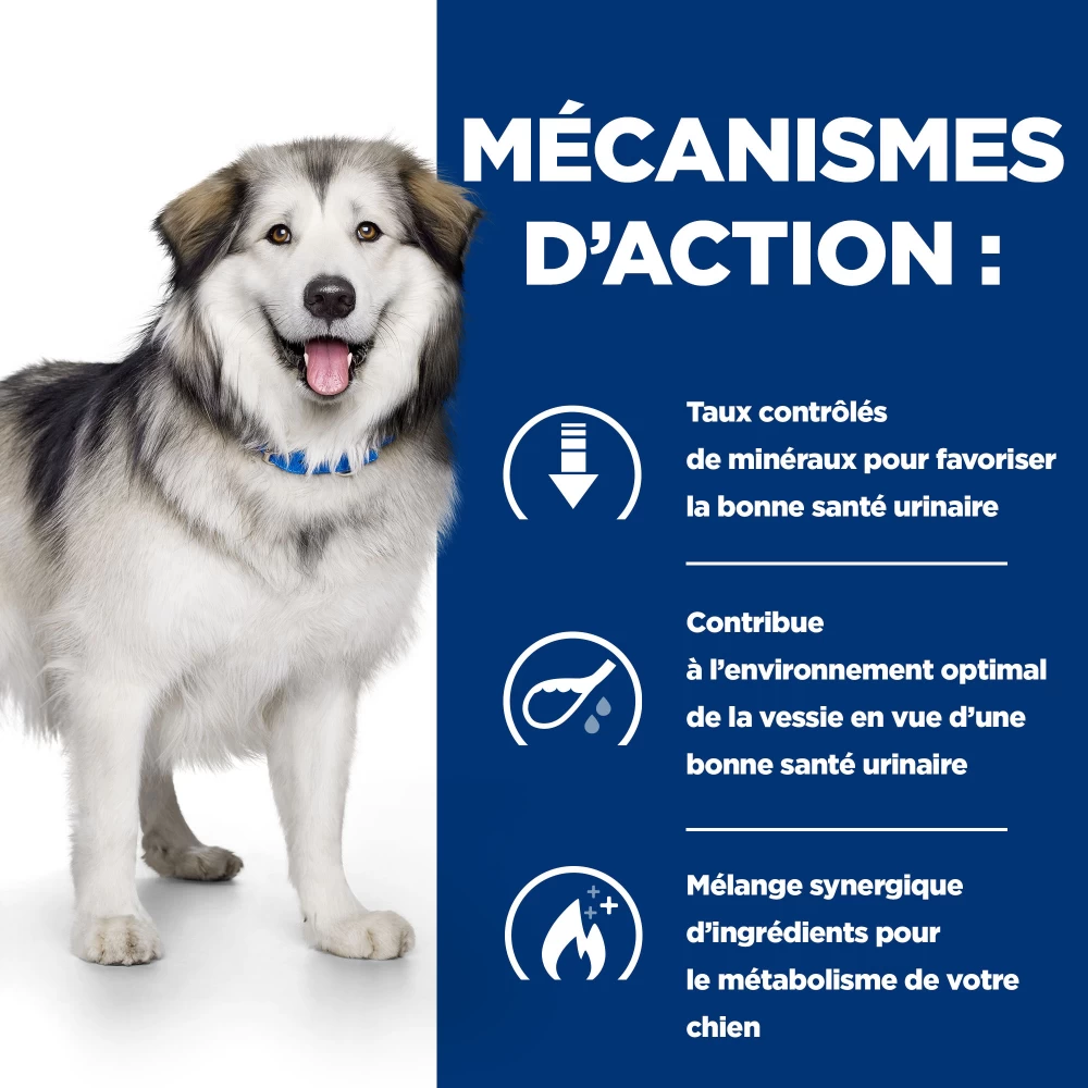 Hill's Prescription Diet C/d Multicare + Metabolic Croquettes Pour Chien – Image 6