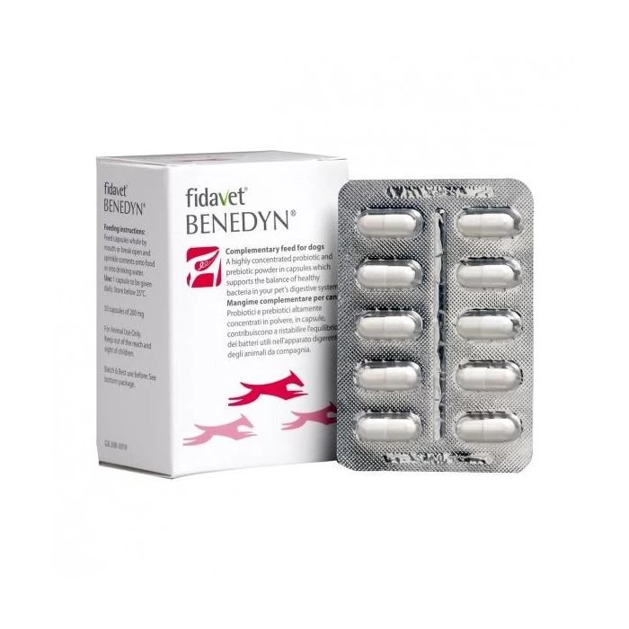 BENEDYN 50 Gélules