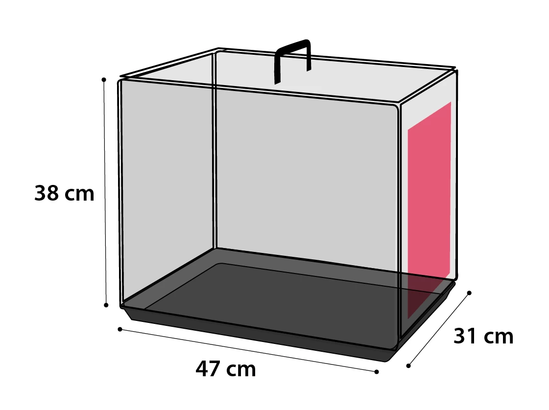 Flamingo Cage Pour Chien Ebo Taupe XS 31x47x38cm – Image 3