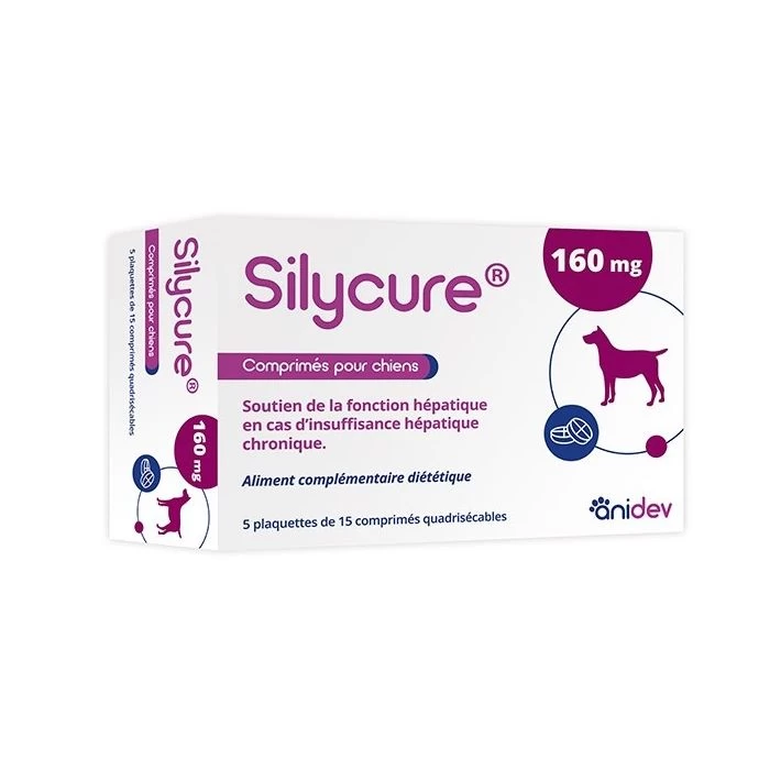SILYCURE 160mg 75 Comprimés