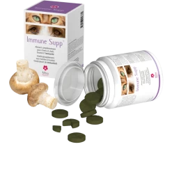 Immune Supp 30 Comprimés