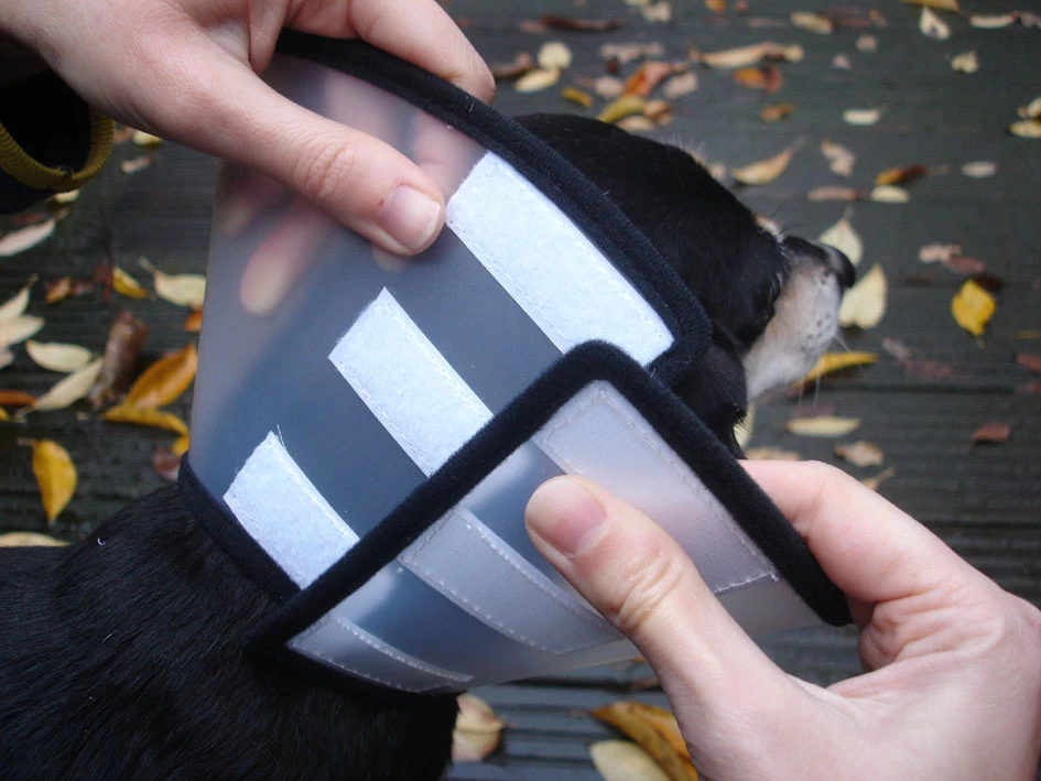 Flamingo Carcan Capo 31,5cm – Image 4